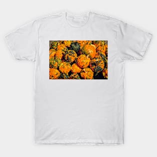 Fall Squash 2 T-Shirt